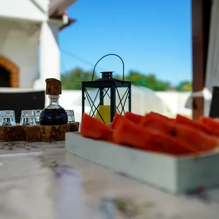 Vila Beki - Private Pool - Zadar County *